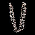 Necklace with beads and mother of pearl birds on a black background