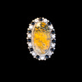 Ring with an oval stone surrounded by black and white stones on a black background